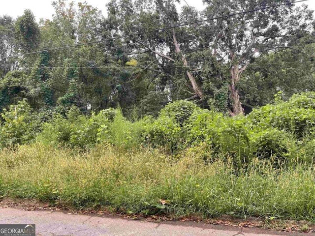 Picture of Residential Land For Sale in Griffin, Georgia, United States