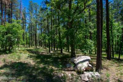 Residential Land For Sale in Alpine, Arizona