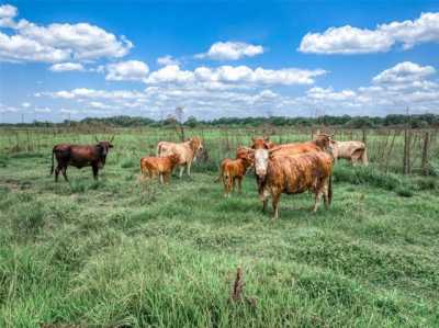 Residential Land For Sale in Okeechobee, Florida