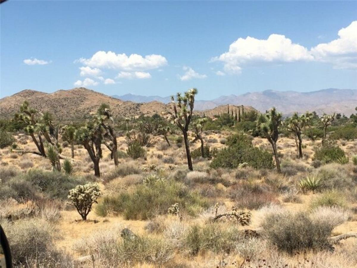 Picture of Residential Land For Sale in Yucca Valley, California, United States