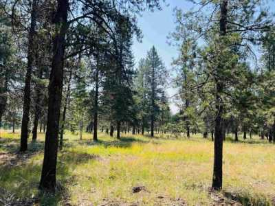 Residential Land For Sale in McCall, Idaho