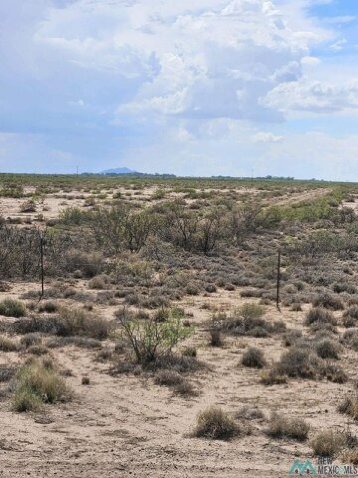 Picture of Residential Land For Rent in Deming, New Mexico, United States