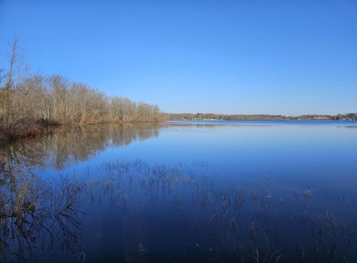 Picture of Residential Land For Sale in Allegan, Michigan, United States