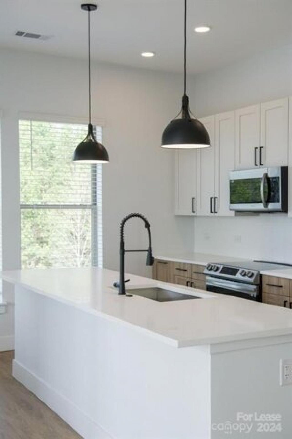 Picture of Apartment For Rent in Charlotte, North Carolina, United States