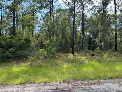 Residential Land For Sale in Citrus Springs, Florida