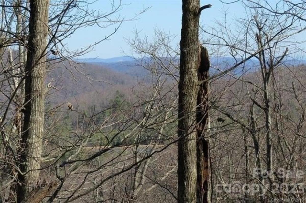 Picture of Residential Land For Sale in Hendersonville, North Carolina, United States