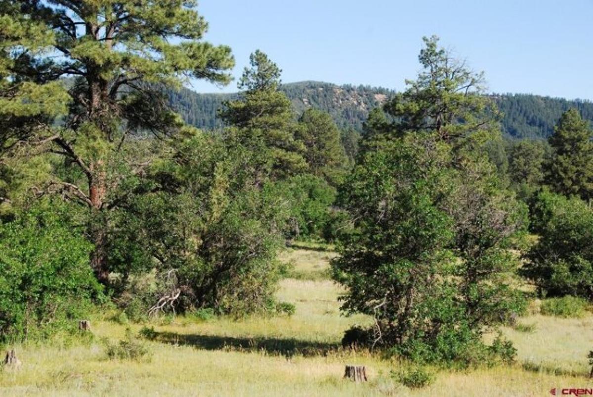 Picture of Residential Land For Sale in Pagosa Springs, Colorado, United States