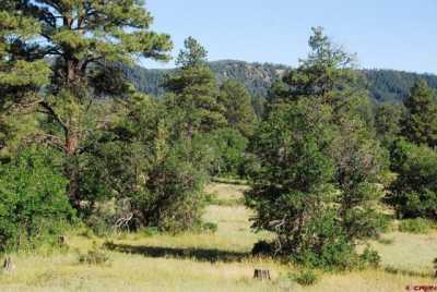 Residential Land For Sale in Pagosa Springs, Colorado