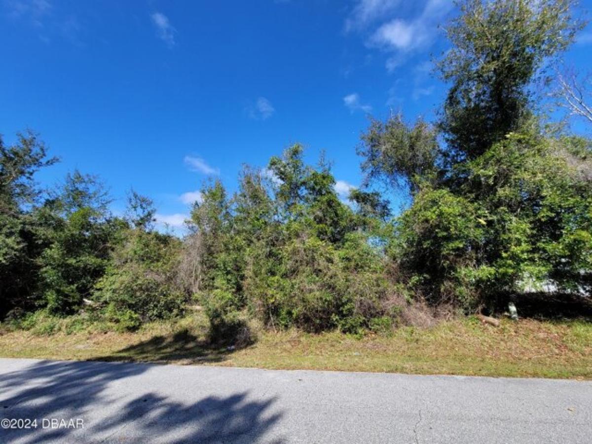 Picture of Residential Land For Sale in Palm Coast, Florida, United States