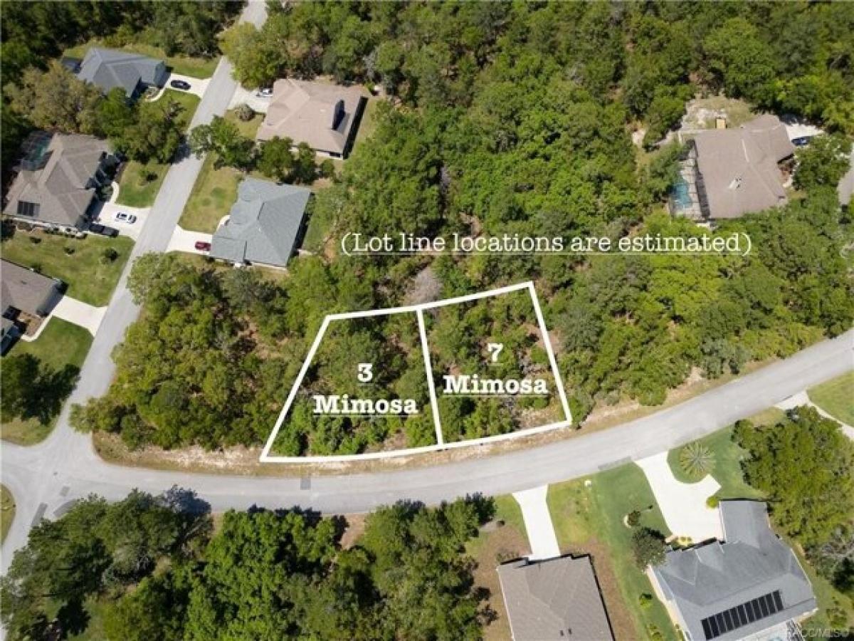 Picture of Residential Land For Sale in Homosassa, Florida, United States