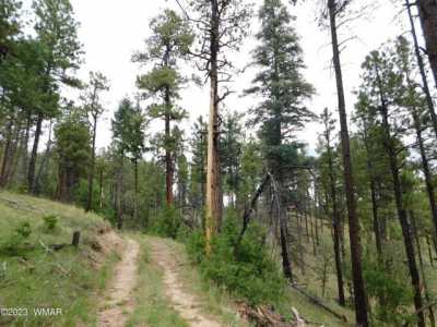 Residential Land For Sale in Alpine, Arizona