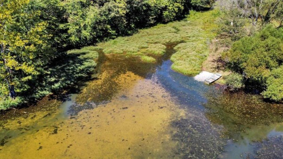 Picture of Residential Land For Sale in Eads, Tennessee, United States