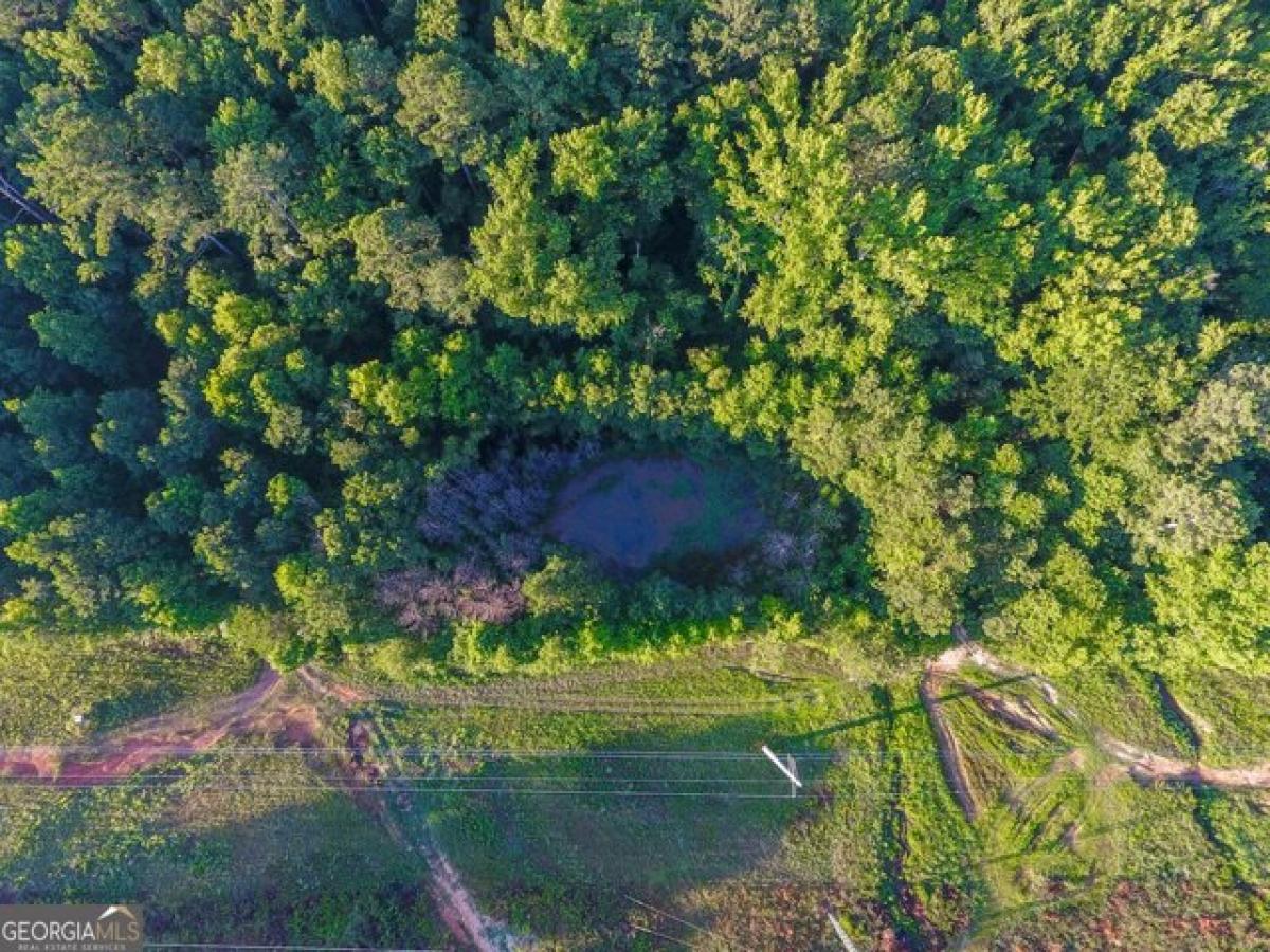 Picture of Residential Land For Sale in Bremen, Georgia, United States