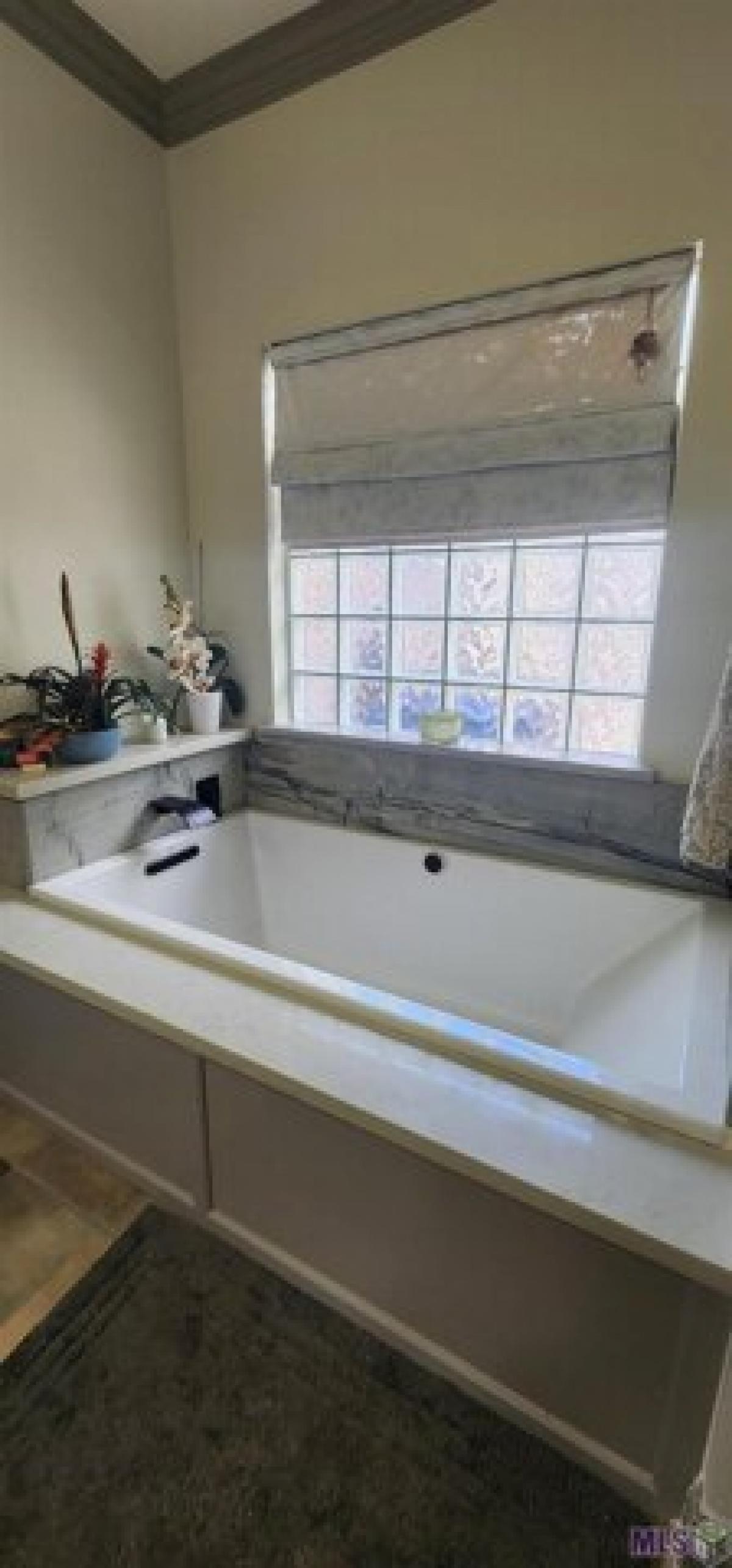 Picture of Home For Sale in Denham Springs, Louisiana, United States