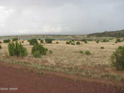 Residential Land For Sale in Concho, Arizona