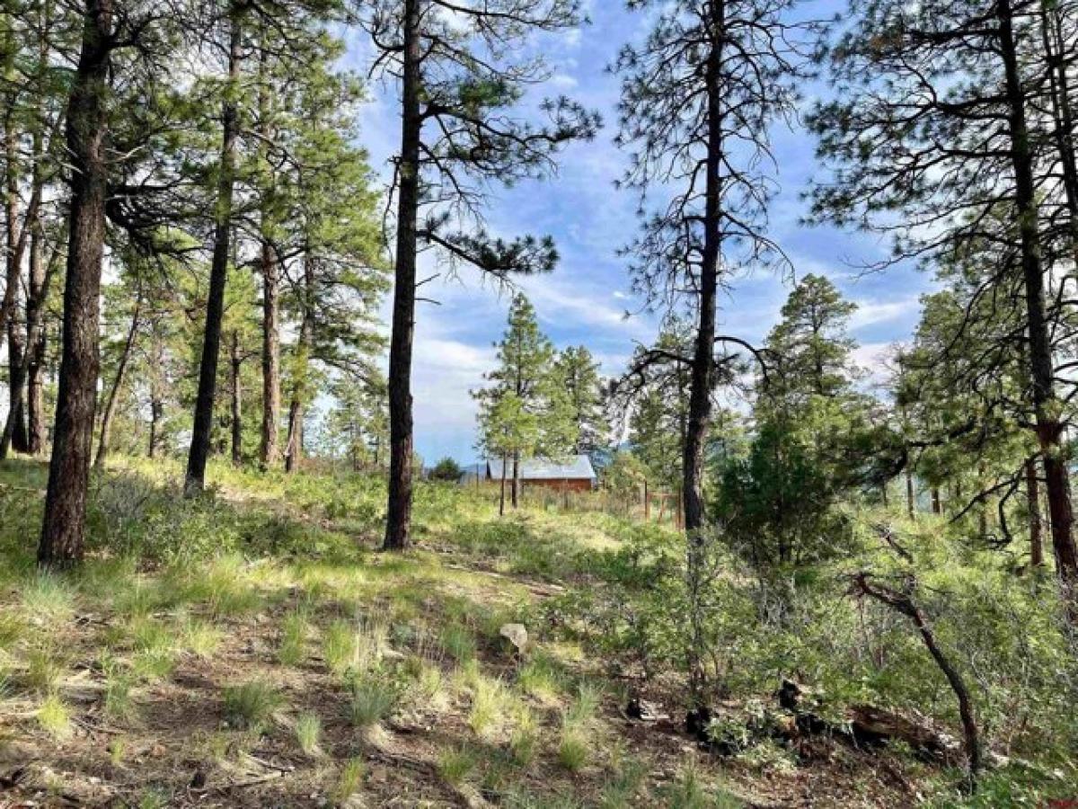 Picture of Residential Land For Sale in Pagosa Springs, Colorado, United States