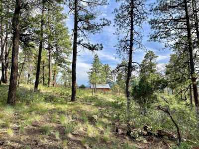 Residential Land For Sale in Pagosa Springs, Colorado