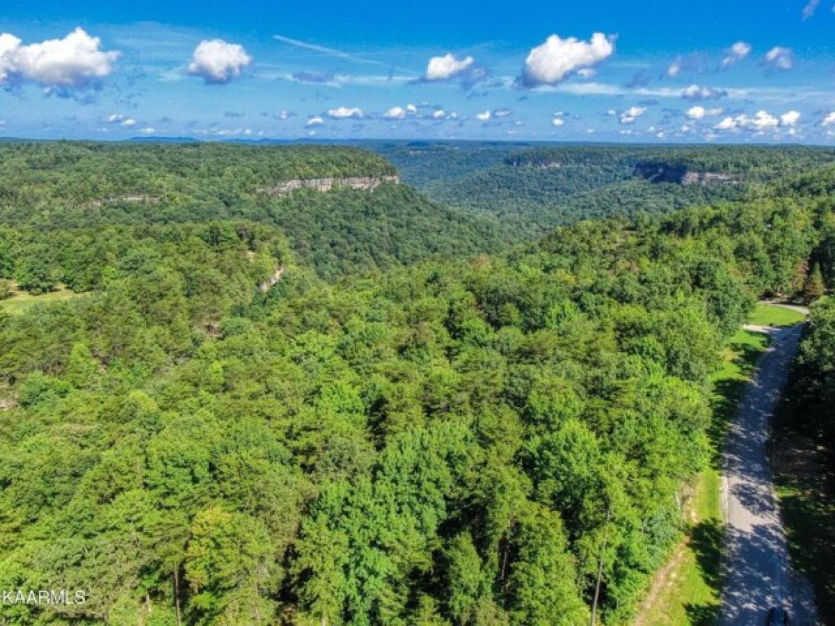 Picture of Residential Land For Sale in Jamestown, Tennessee, United States