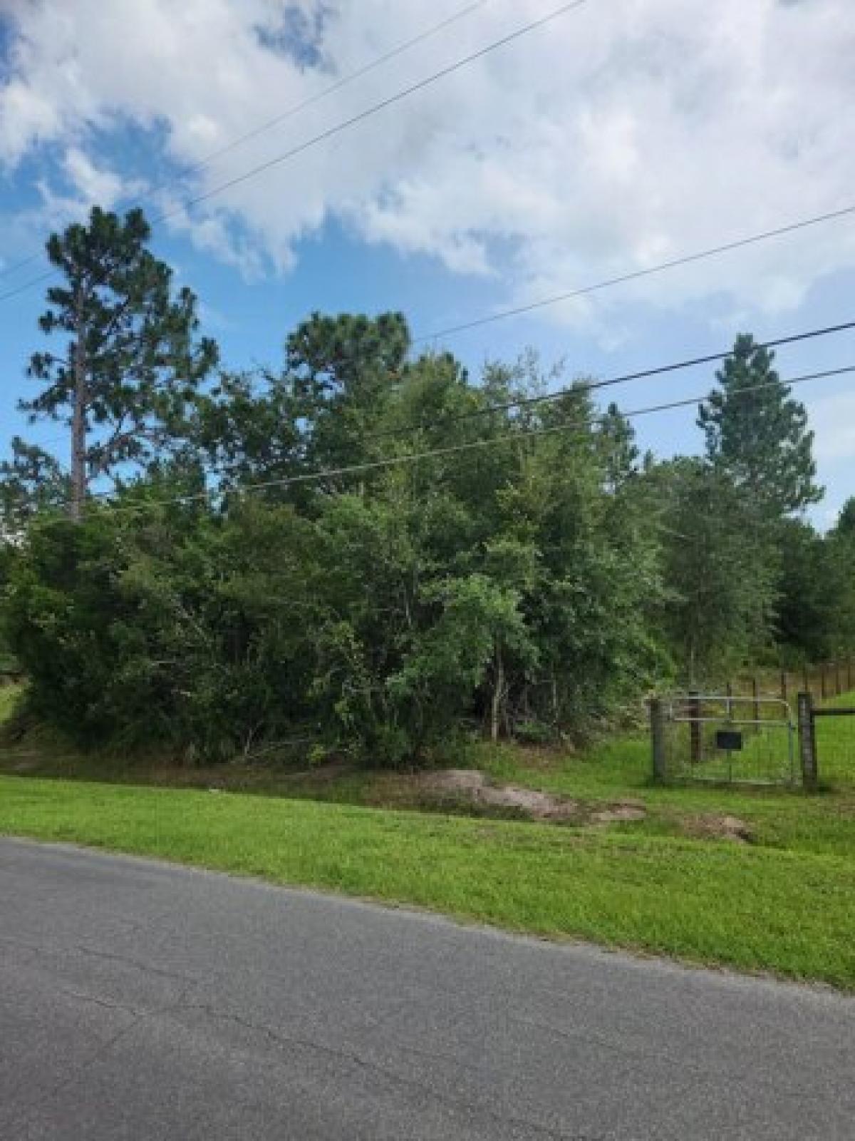 Picture of Residential Land For Sale in Orlando, Florida, United States
