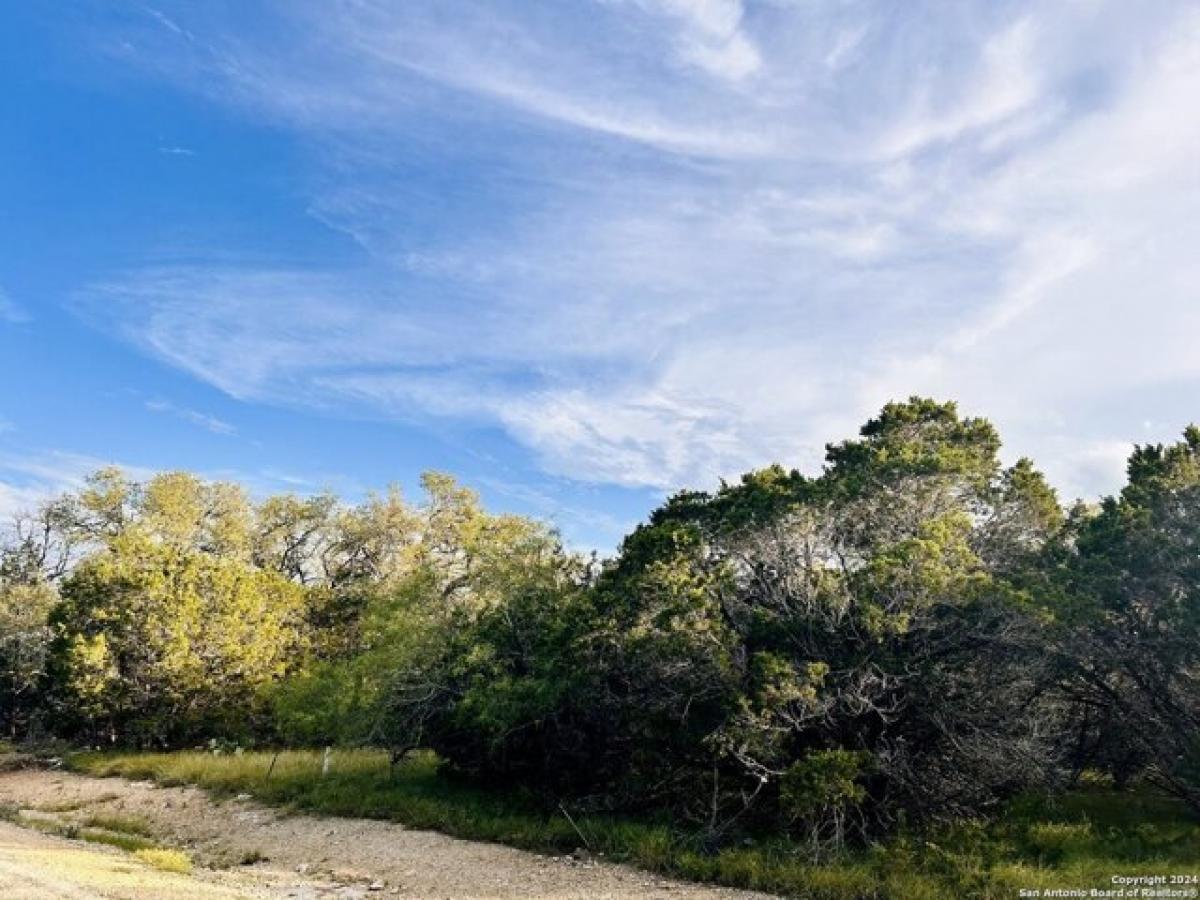 Picture of Residential Land For Sale in Spring Branch, Texas, United States