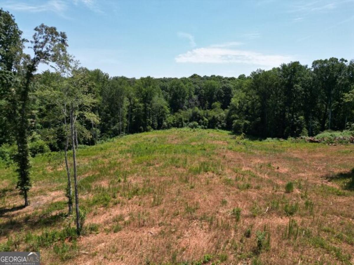 Picture of Residential Land For Sale in Dewy Rose, Georgia, United States