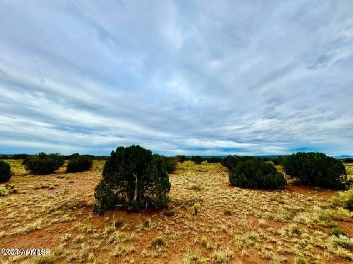Picture of Residential Land For Sale in Saint Johns, Arizona, United States
