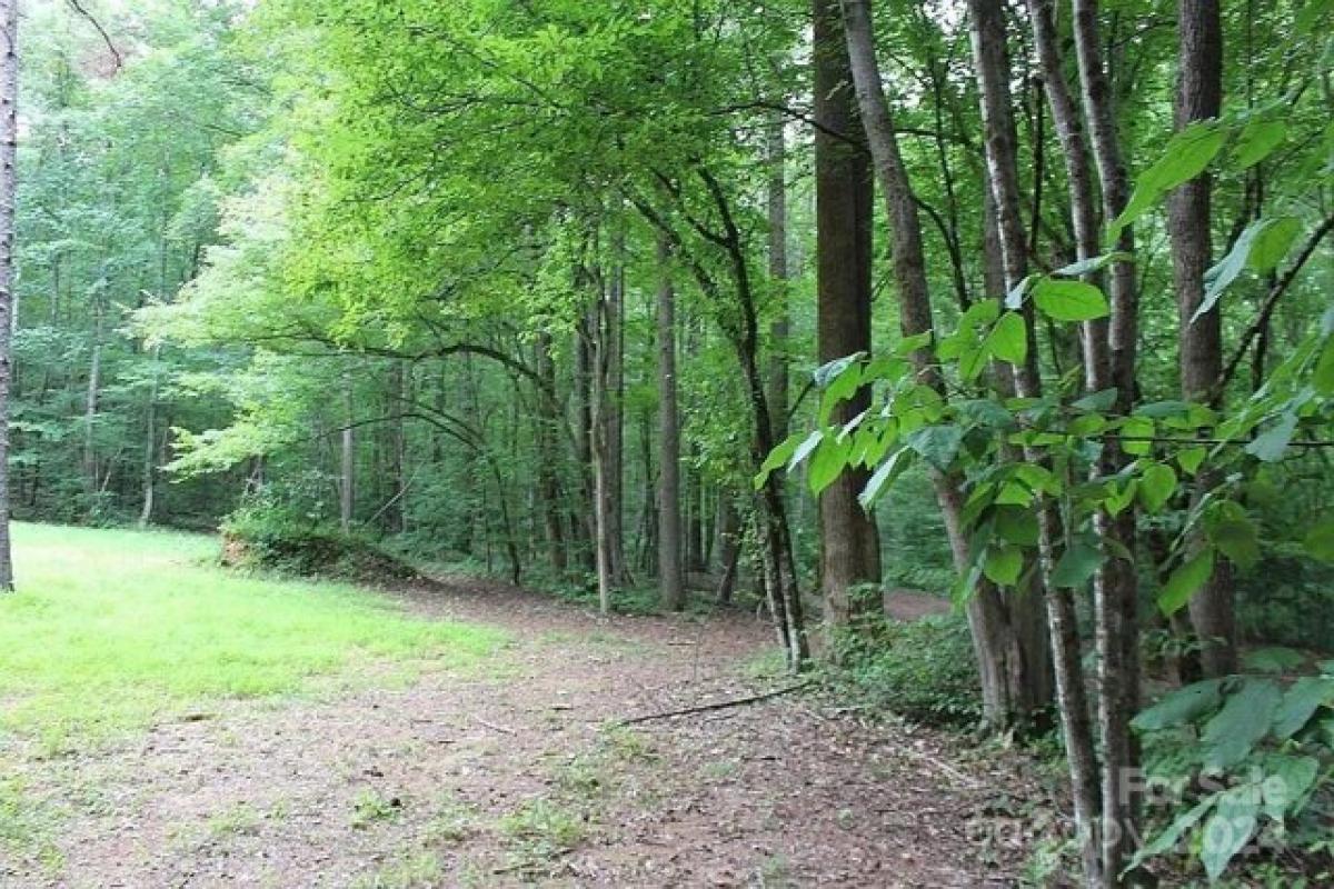 Picture of Home For Sale in Morganton, North Carolina, United States