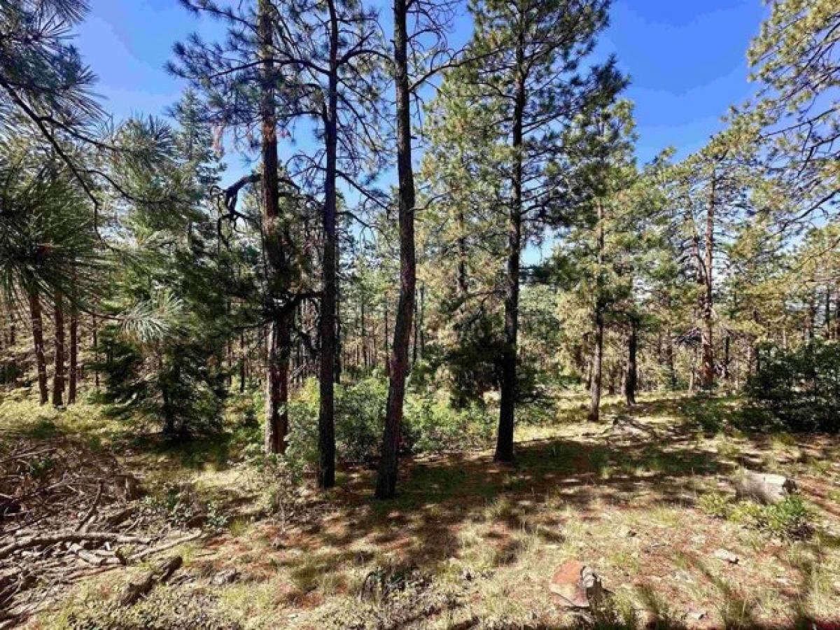 Picture of Residential Land For Sale in Bayfield, Colorado, United States