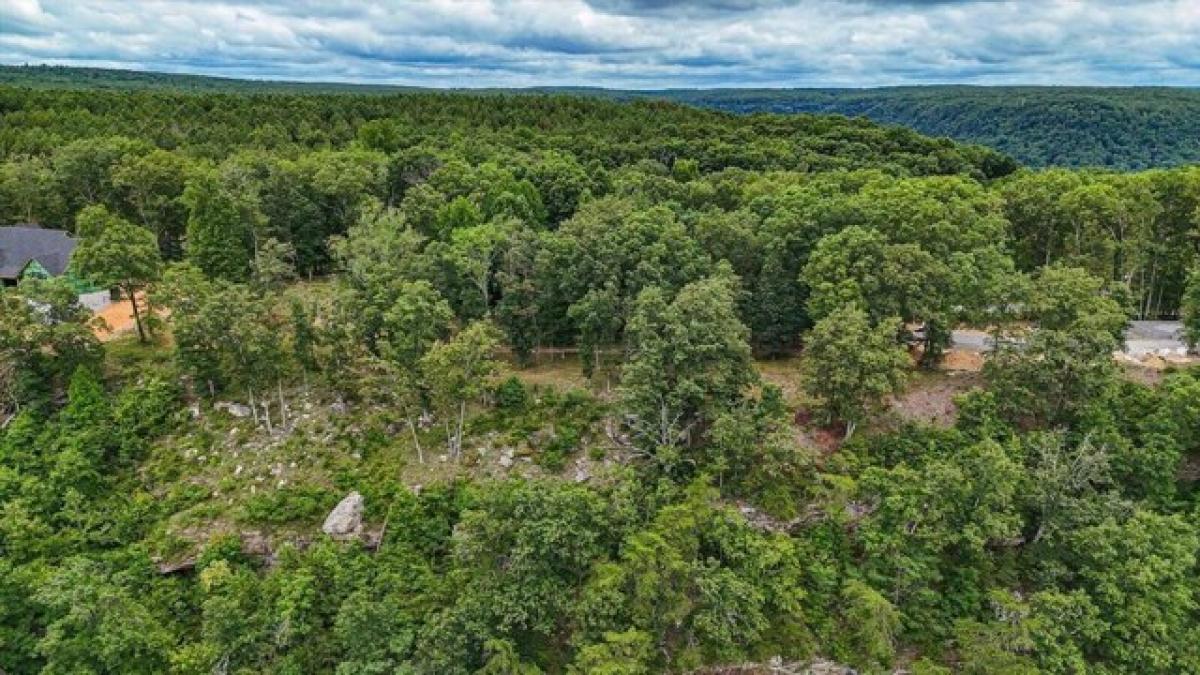 Picture of Residential Land For Sale in Jasper, Tennessee, United States