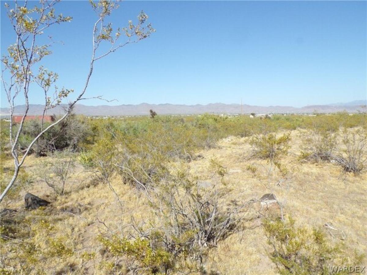 Picture of Residential Land For Sale in Golden Valley, Arizona, United States