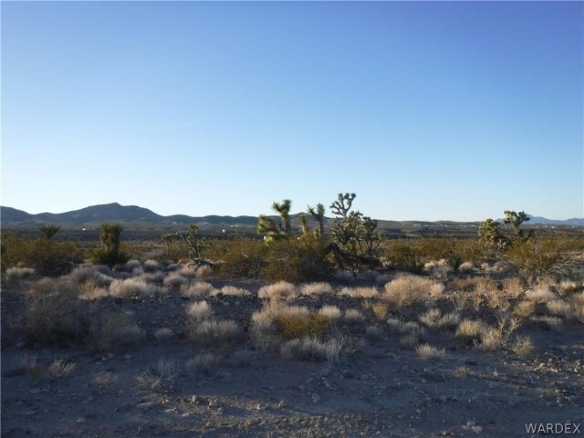 Picture of Residential Land For Rent in Meadview, Arizona, United States