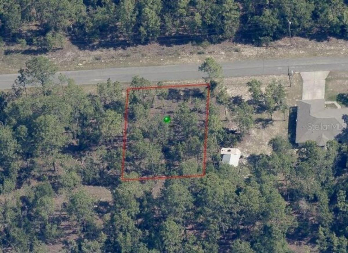 Picture of Residential Land For Sale in Citrus Springs, Florida, United States