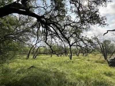 Residential Land For Sale in Brownwood, Texas