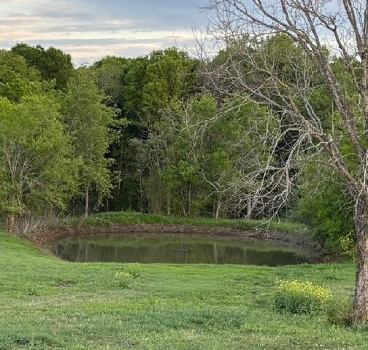 Picture of Residential Land For Sale in Bryan, Texas, United States