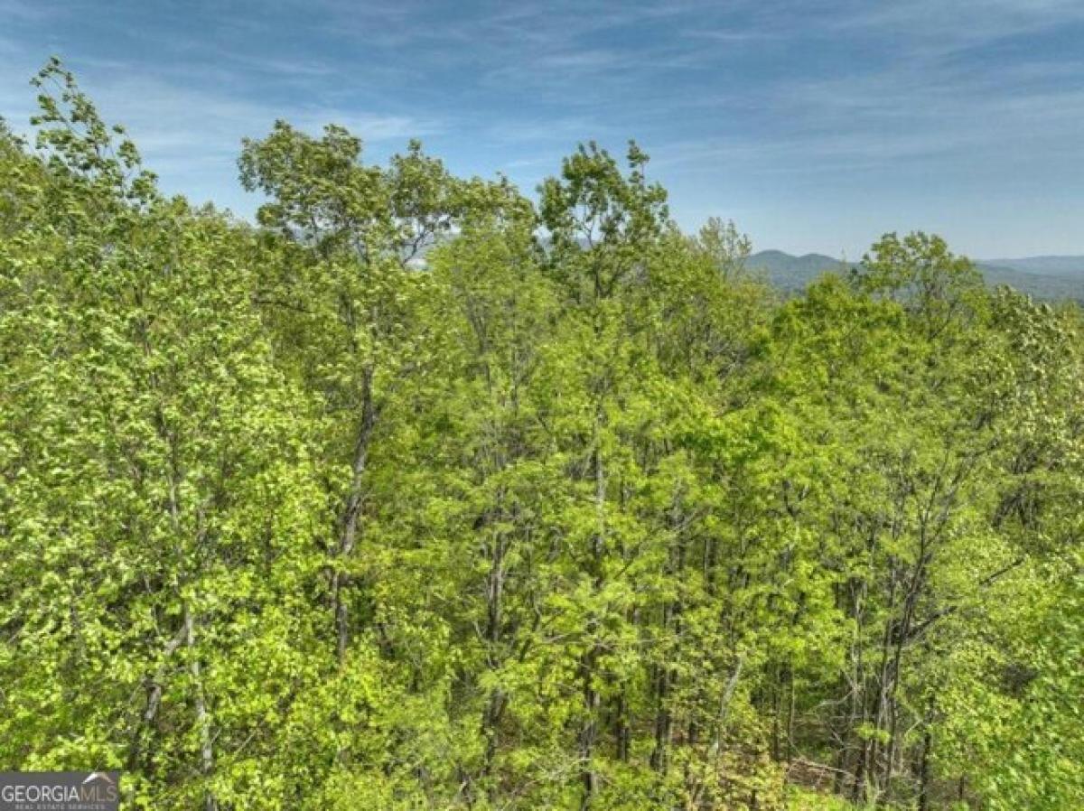 Picture of Residential Land For Sale in Ellijay, Georgia, United States