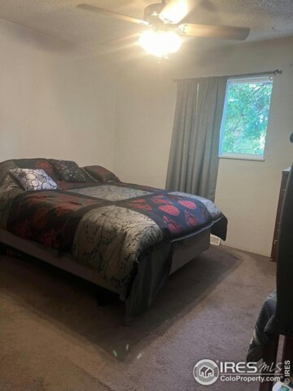 Picture of Home For Sale in Erie, Colorado, United States