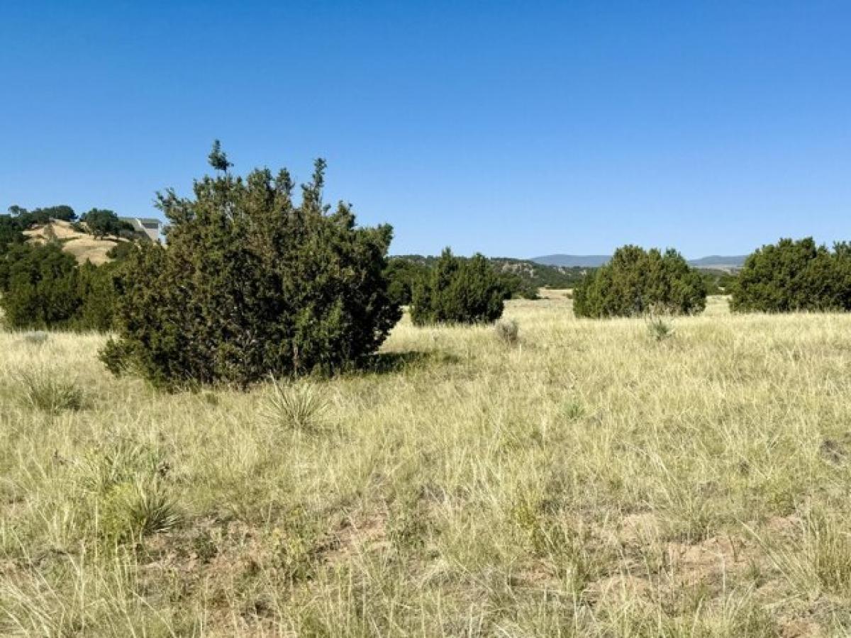 Picture of Residential Land For Sale in Walsenburg, Colorado, United States