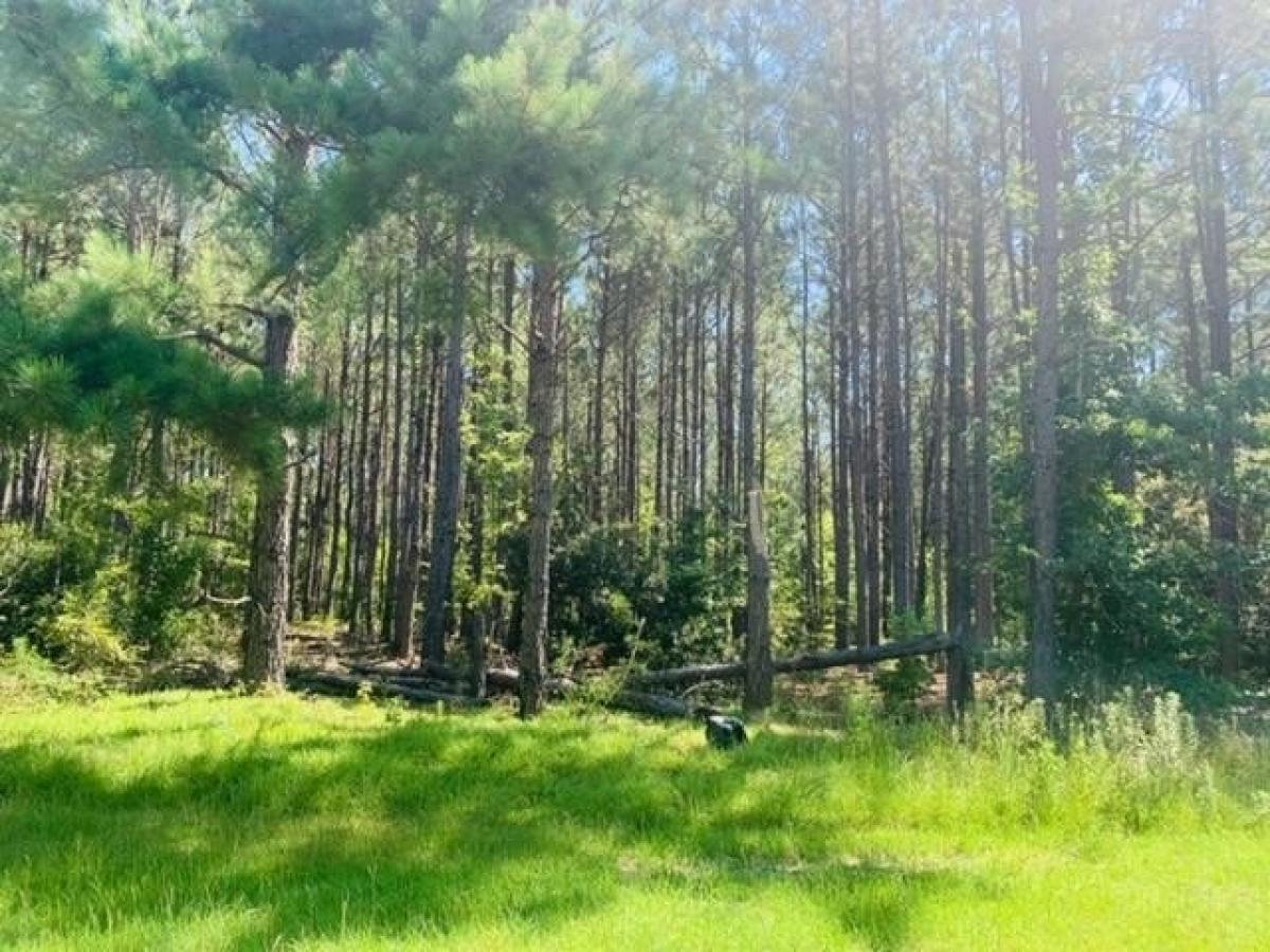 Picture of Residential Land For Sale in Eastman, Georgia, United States