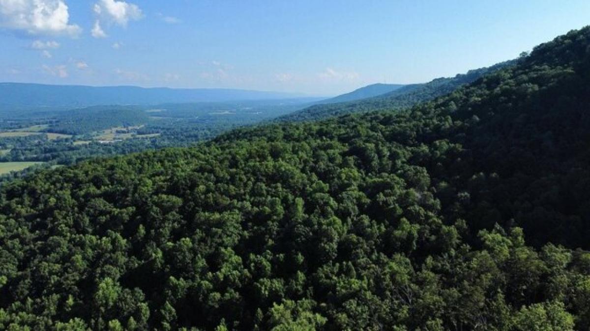 Picture of Residential Land For Sale in Dunlap, Tennessee, United States