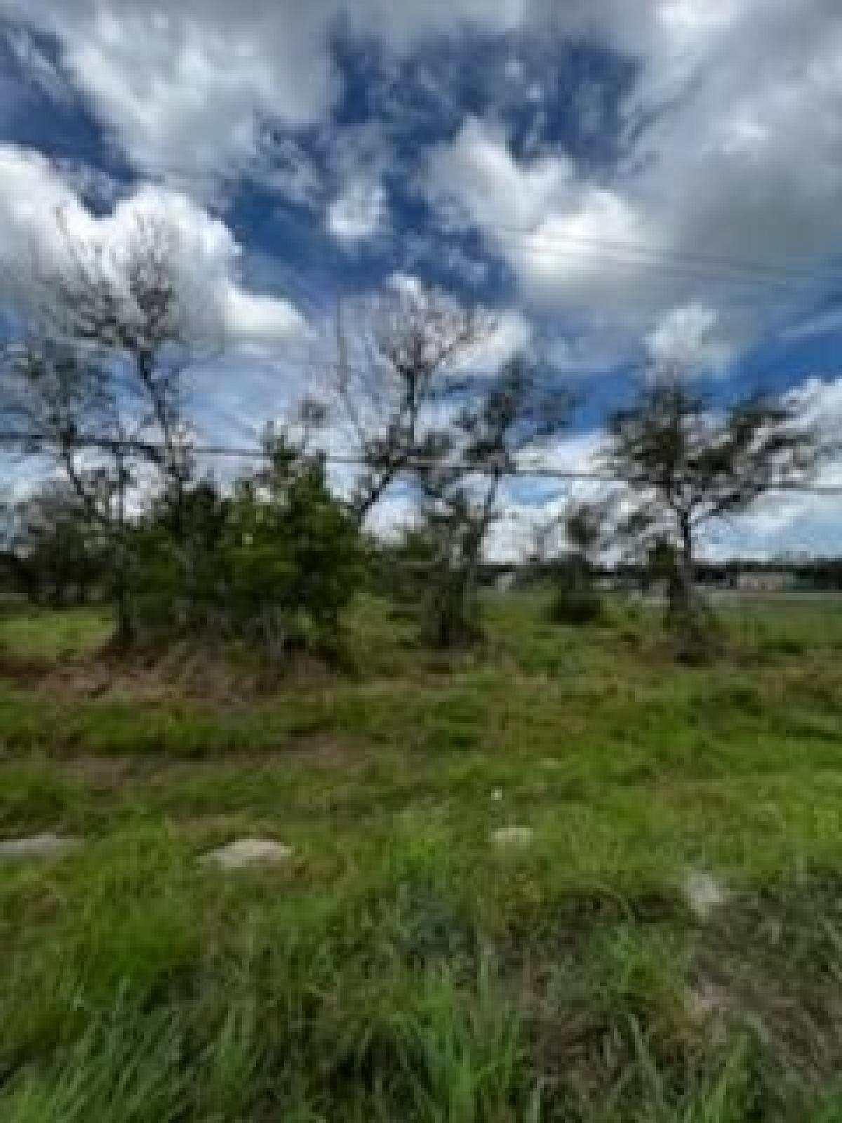 Picture of Residential Land For Sale in Rockport, Texas, United States