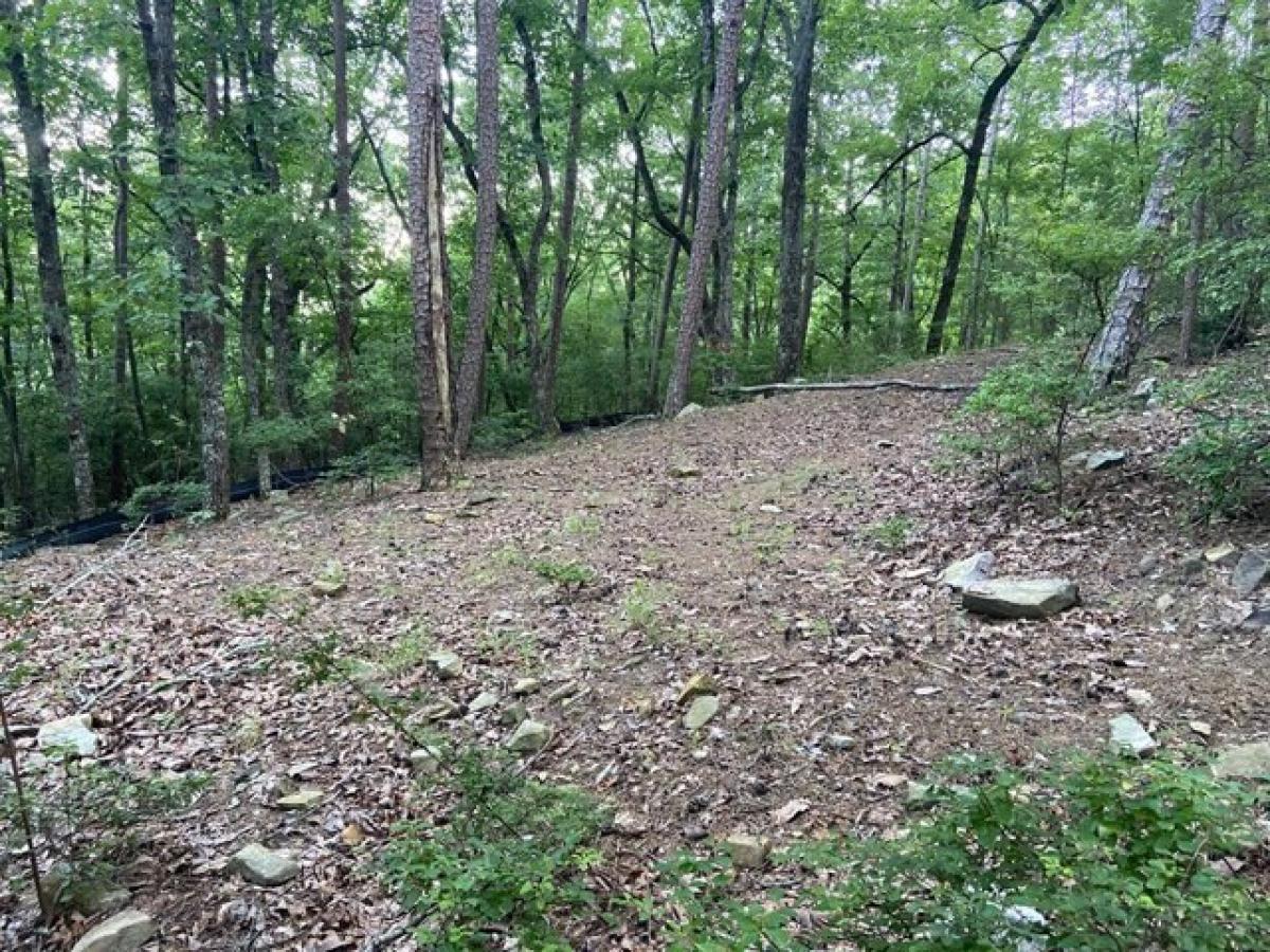 Picture of Residential Land For Sale in Ellijay, Georgia, United States