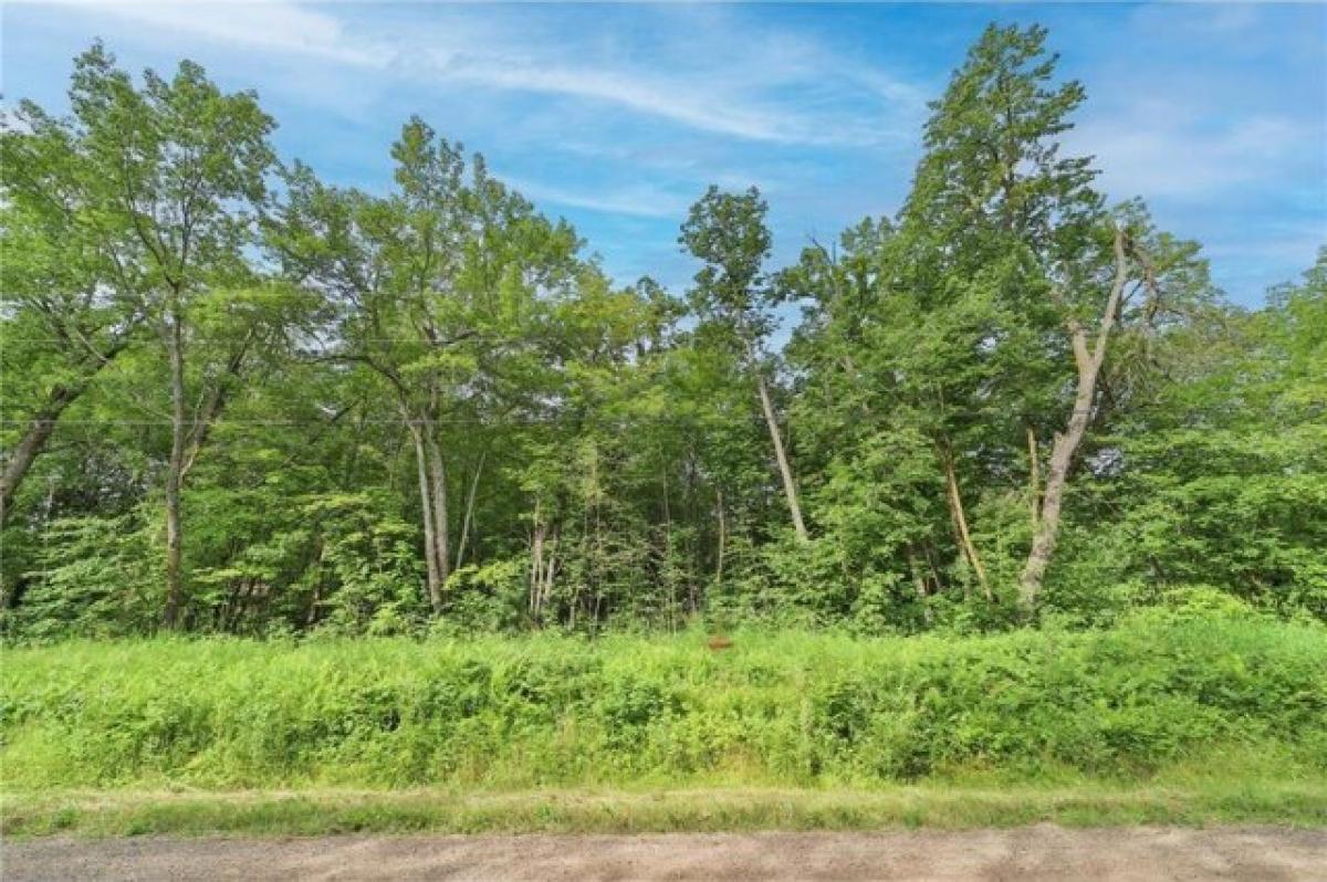 Picture of Residential Land For Rent in Garrison, Minnesota, United States