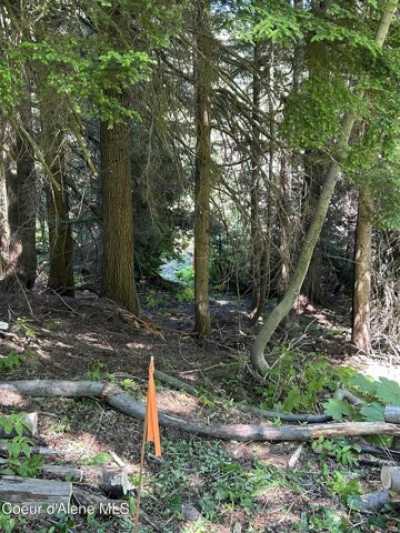 Residential Land For Sale in Sandpoint, Idaho