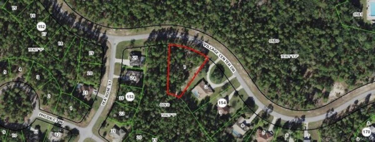 Picture of Residential Land For Sale in Homosassa, Florida, United States