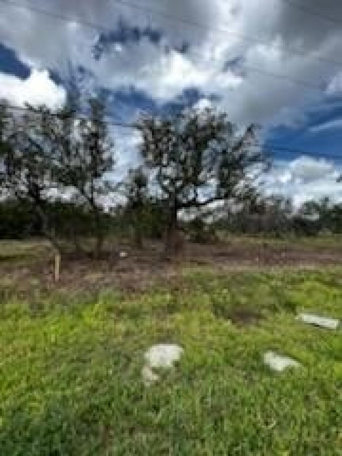 Picture of Residential Land For Sale in Rockport, Texas, United States