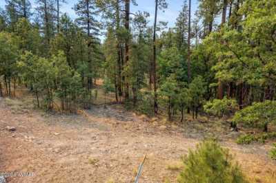 Residential Land For Sale in Alpine, Arizona