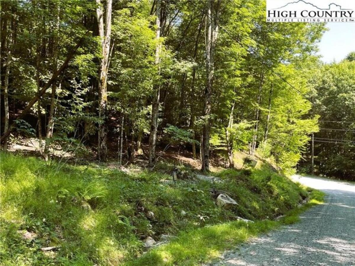 Picture of Residential Land For Sale in Beech Mountain, North Carolina, United States