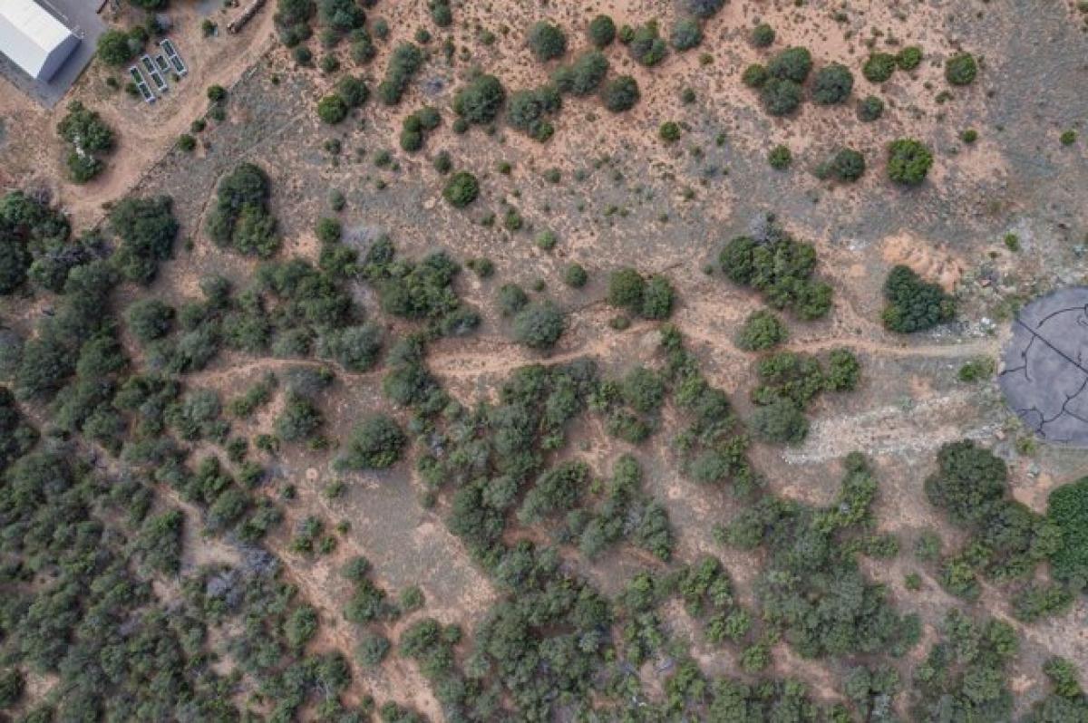 Picture of Residential Land For Sale in Tijeras, New Mexico, United States