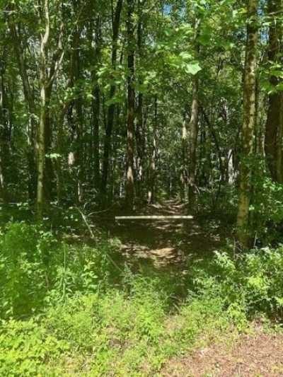 Residential Land For Sale in Ellijay, Georgia