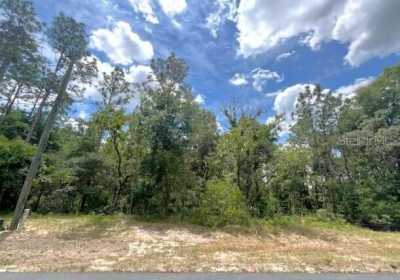 Residential Land For Sale in Ocala, Florida